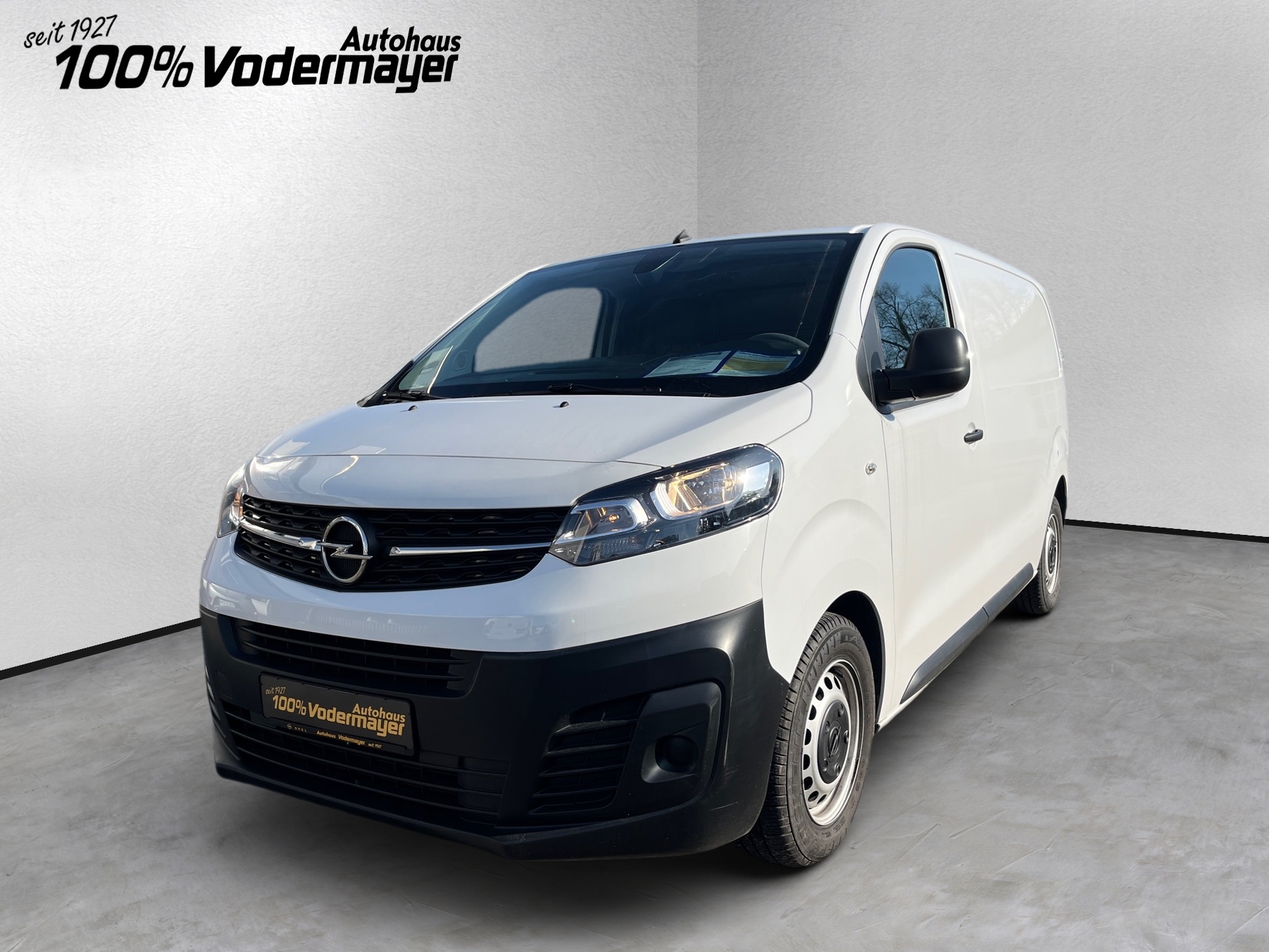 Vivaro Cargo Edition M 2.0