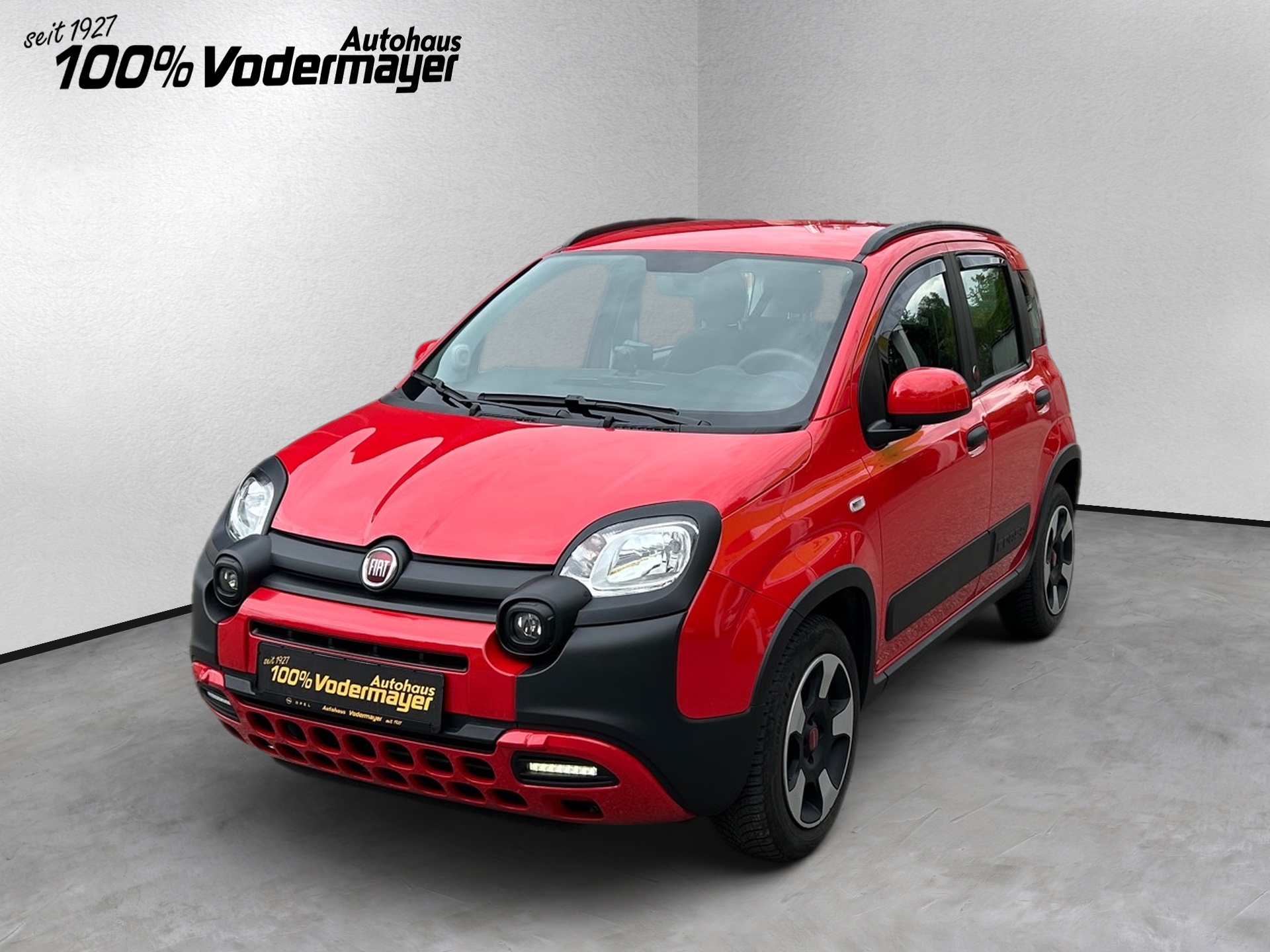 Panda Mild Hybrid 1.0