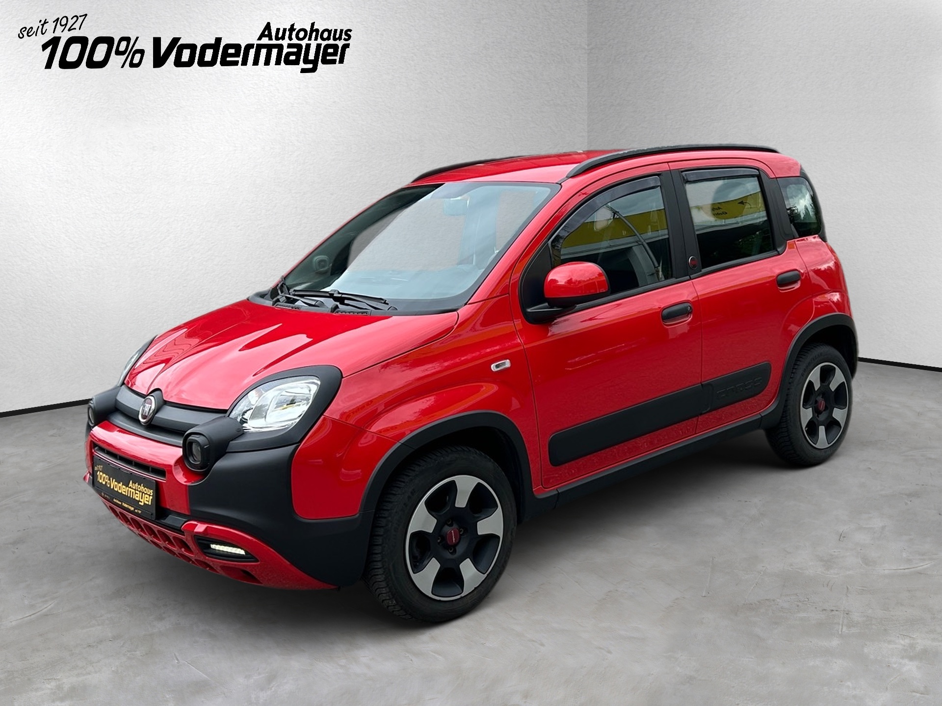 Panda Mild Hybrid 1.0