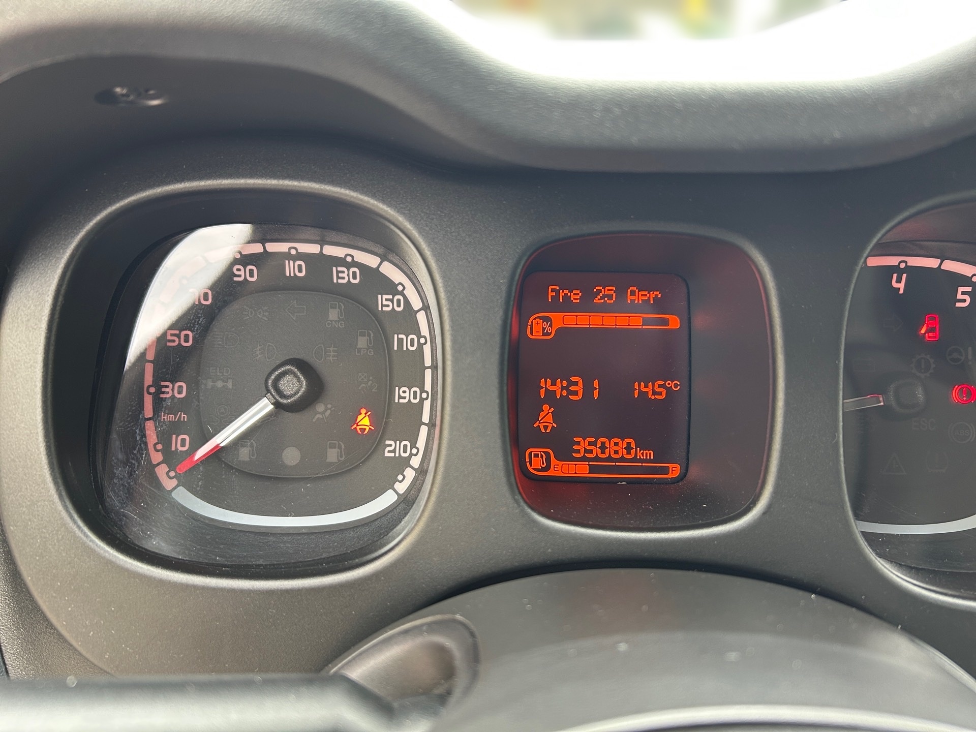 Panda Mild Hybrid 1.0