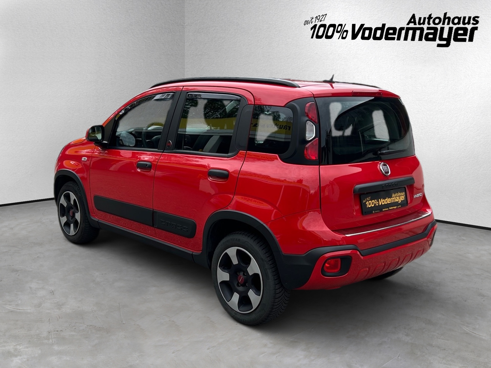 Panda Mild Hybrid 1.0
