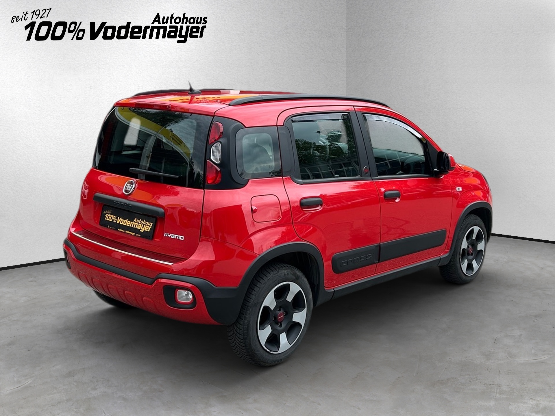 Panda Mild Hybrid 1.0